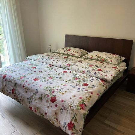 רונקו סופרה אסקונה Appartamenti Ramarro מראה חיצוני תמונה